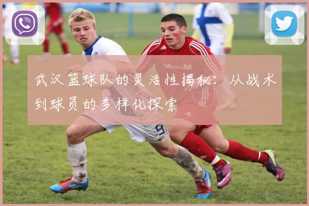 武汉篮球队的灵活性揭秘：从战术到球员的多样化探索