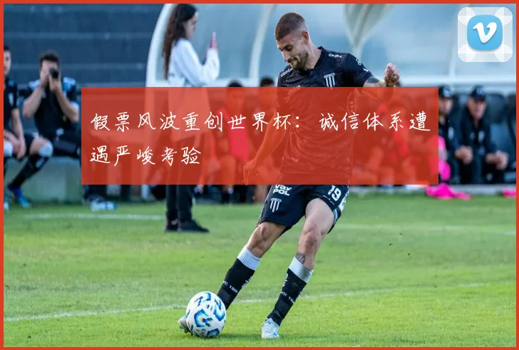 假票风波重创世界杯：诚信体系遭遇严峻考验