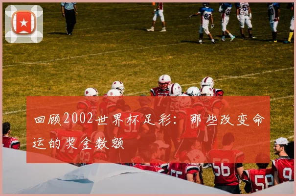 回顾2002世界杯足彩：那些改变命运的奖金数额