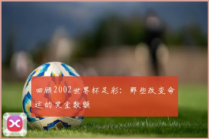 回顾2002世界杯足彩：那些改变命运的奖金数额