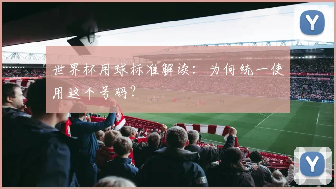 世界杯用球标准解读:为何统一使用这个号码?
