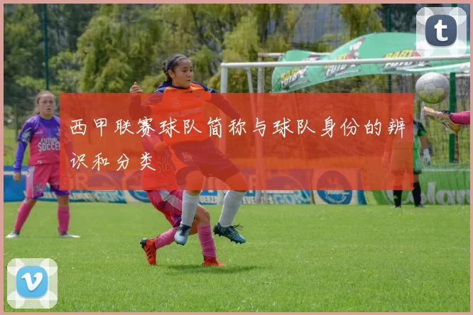 西甲联赛球队简称与球队身份的辨识和分类