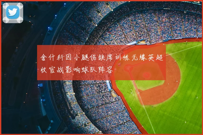 舍什科因小腿伤缺席训练无缘英超收官战影响球队阵容