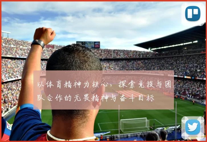 以体育精神为核心，探索竞技与团队合作的无畏精神与奋斗目标