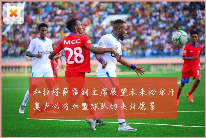 加拉塔萨雷副主席展望未来恰尔汗奥卢必将加盟球队的美好愿景