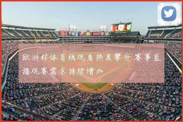 欧洲杯体育线观看热度攀升 赛事直播观赛需求持续增加