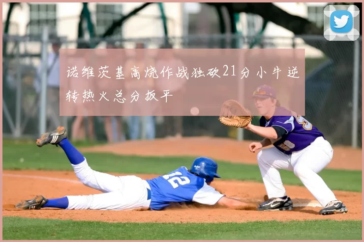 诺维茨基高烧作战独砍21分小牛逆转热火总分扳平