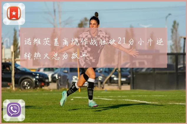 诺维茨基高烧作战独砍21分小牛逆转热火总分扳平