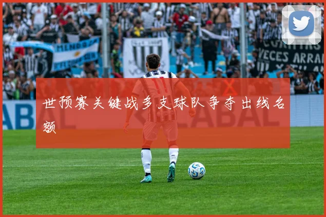 世预赛关键战多支球队争夺出线名额
