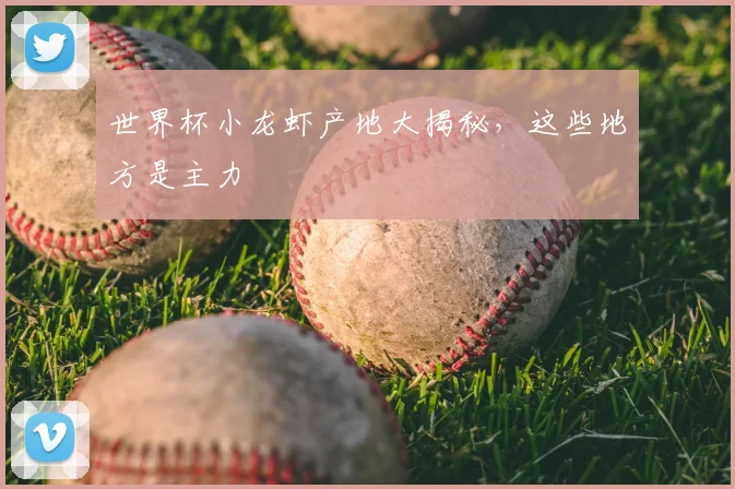 世界杯小龙虾产地大揭秘，这些地方是主力