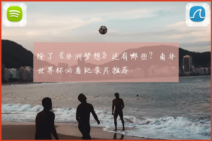 除了《非洲梦想》还有哪些？南非世界杯必看纪录片推荐